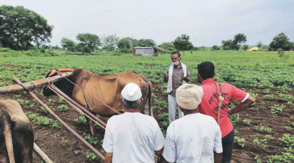 देशी बियाणे संवर्धक