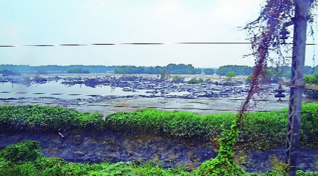 डोंबिवली जवळील कोपर येथील उद्ध्वस्त झालेले खारफुटीचे जंगल.