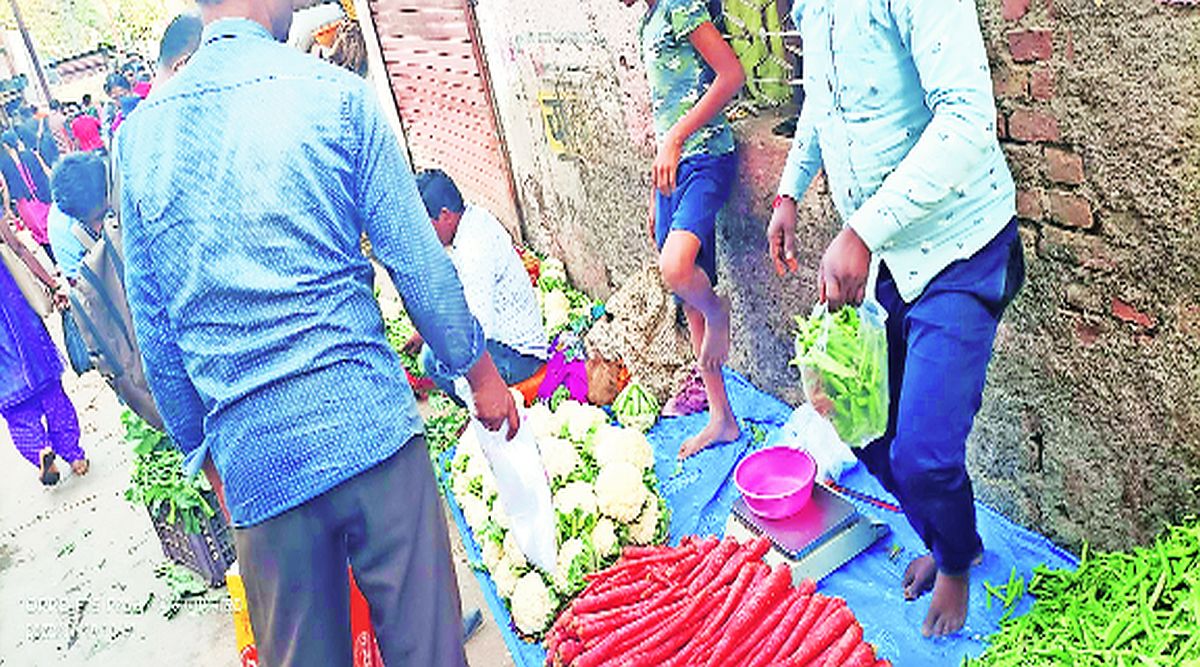 वर्षभरात केवळ ८०३ किलो प्लास्टिक पालिकेकडून जप्त