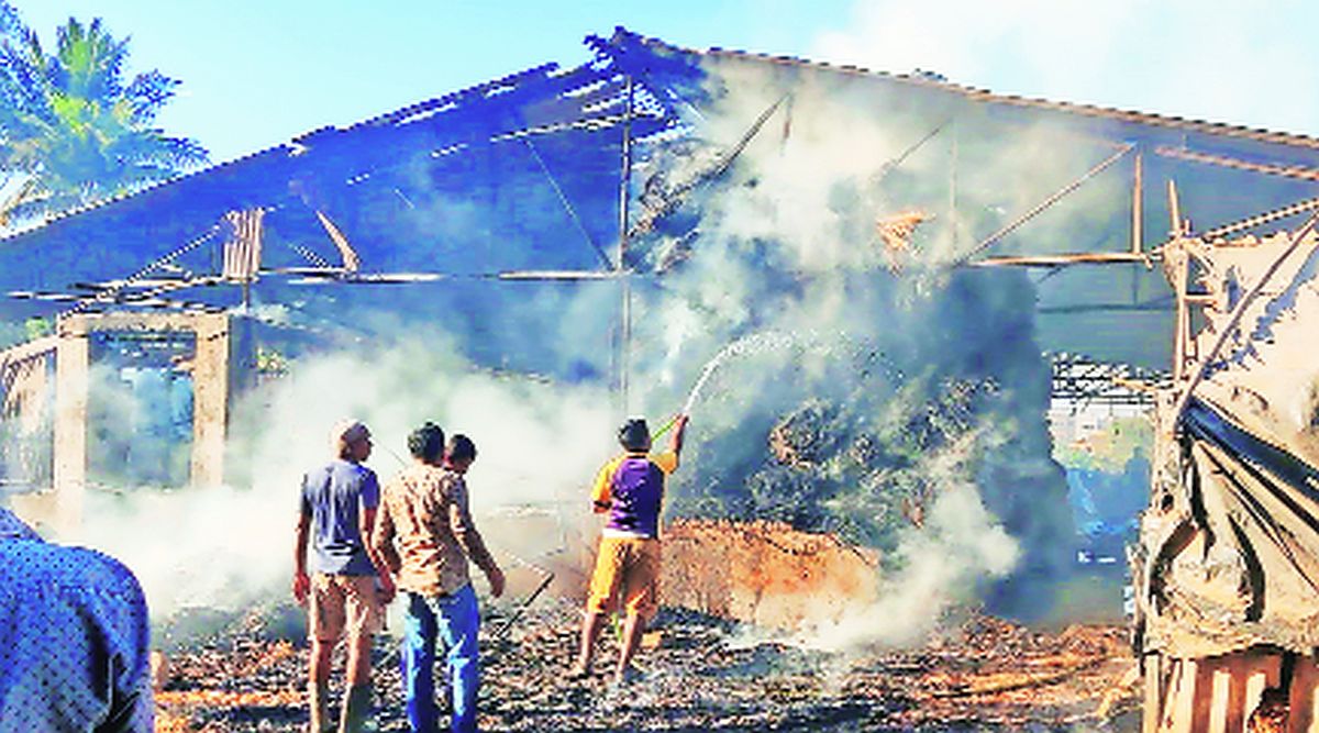 आगीत पेंढा जळून खाक; गुरे सुरक्षित