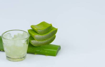 Aloe-Vera-Weight-Loss