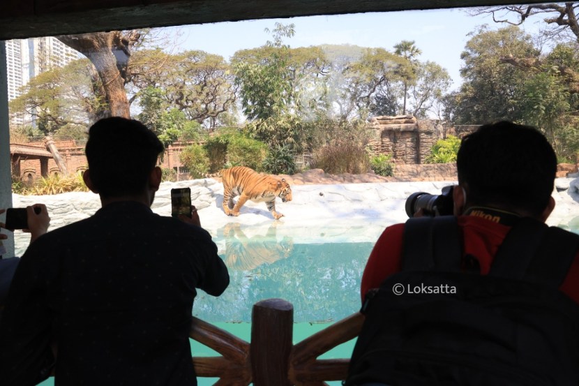 Byculla Zoo Veermata Jijabai Bhosale Udyan