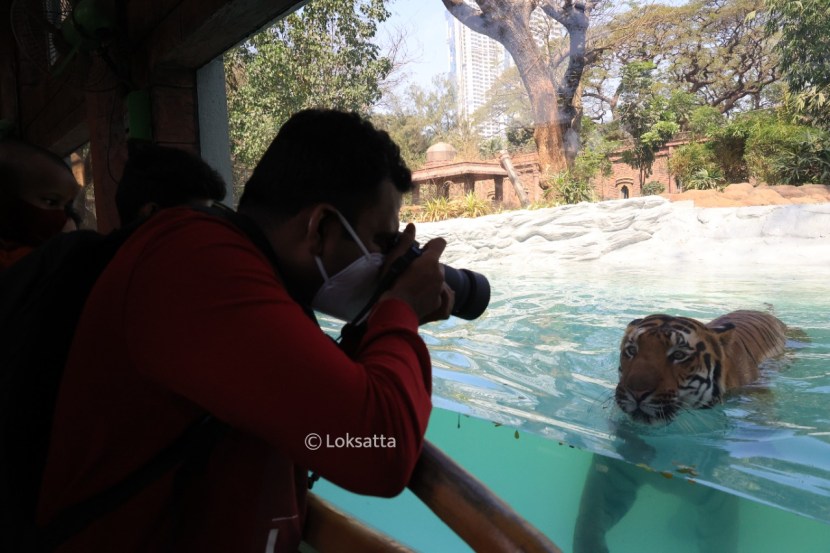 Byculla Zoo Veermata Jijabai Bhosale Udyan