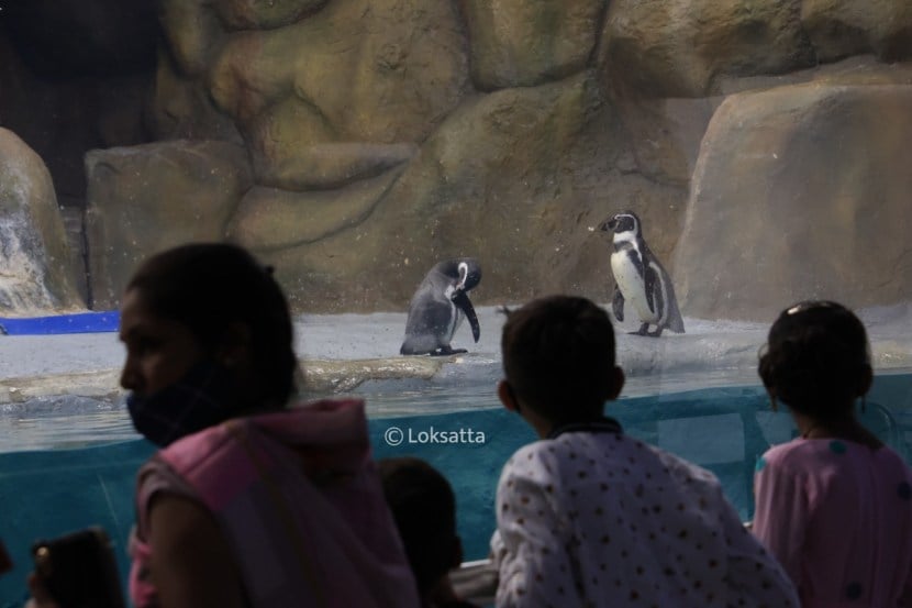 Byculla Zoo Veermata Jijabai Bhosale Udyan