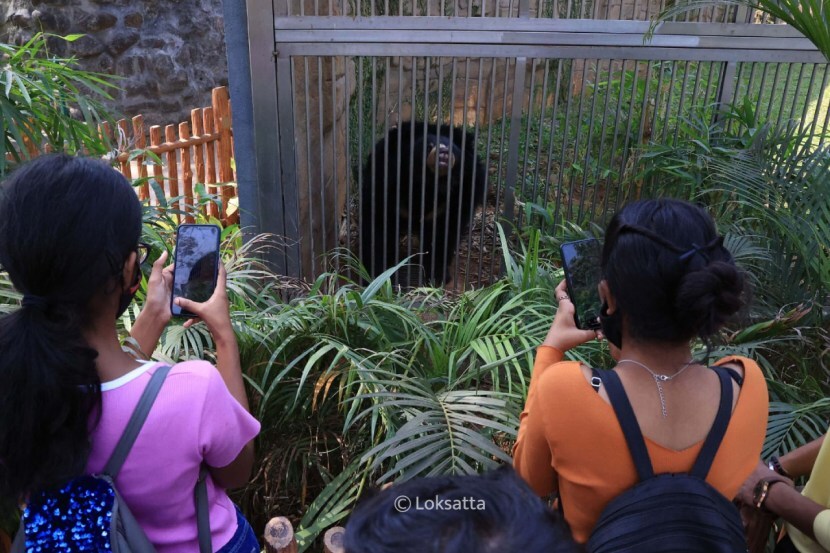 Byculla Zoo Veermata Jijabai Bhosale Udyan