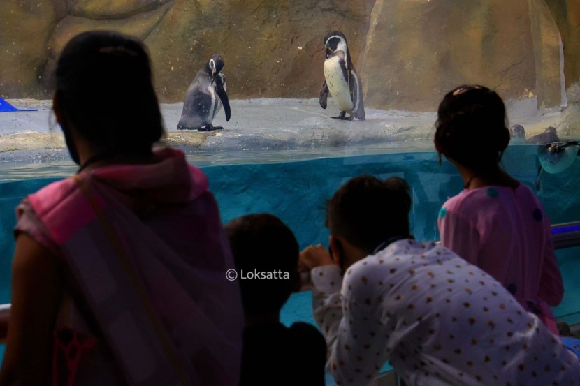 Byculla Zoo Veermata Jijabai Bhosale Udyan