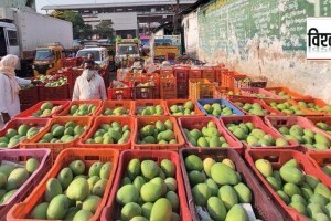 Maharashtra Agriculture Export Policy