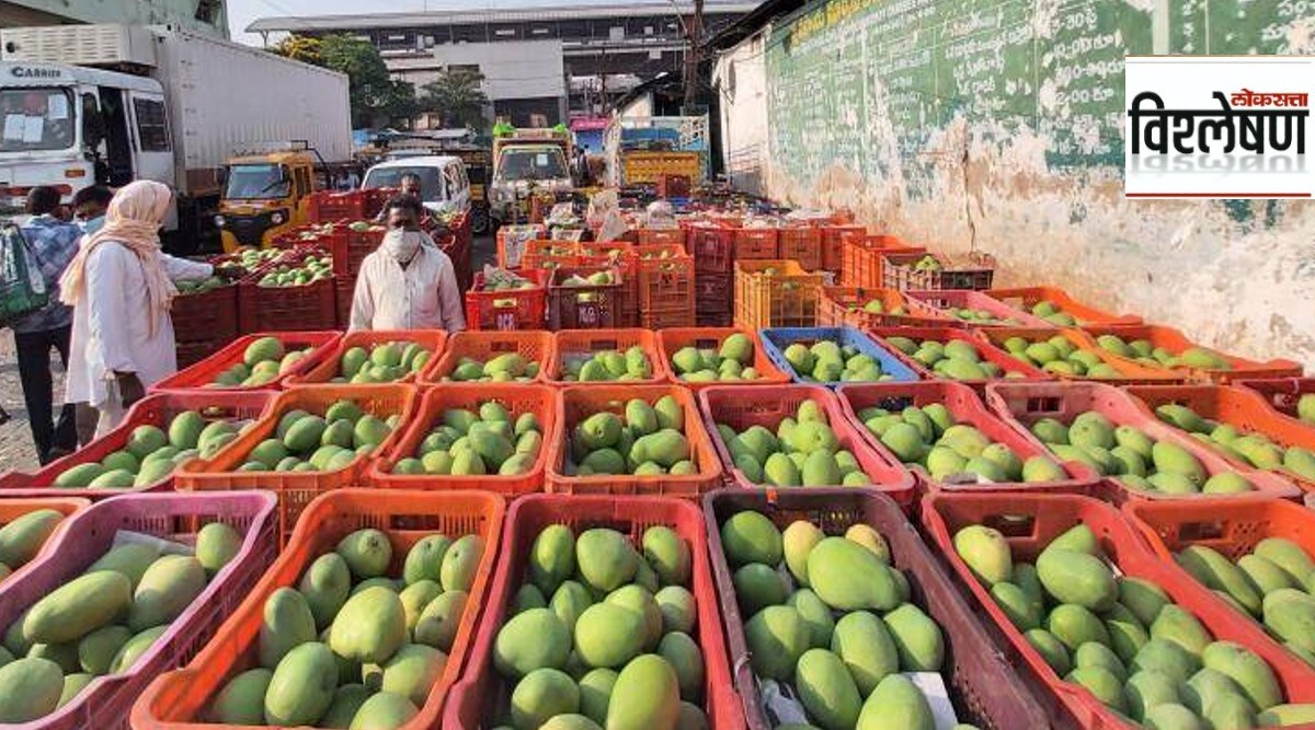 Maharashtra Agriculture Export Policy