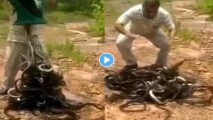 Snake-Video-Viral