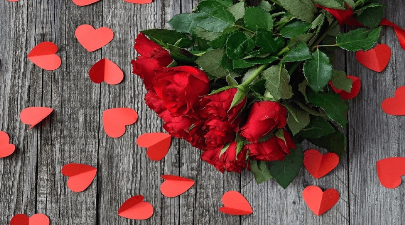 रोज डे, ७ फेब्रुवारी २०२२: रोज डेच्या दिवशी आपल्या प्रिय व्यक्तीला लाल गुलाबाचं फूल देऊन प्रेम व्यक्त केलं जातं. खास करून तरूण आपल्या प्रेयसीला फूल देतात. मात्र या दिवशी दोघांनी एकमेकांना गुलाबाचं फूल दिलं तर दिवस स्मरणात राहतो. हा दिवस खास बनवण्यासाठी, जर तुम्ही तुमच्या जोडीदाराला भेटलात तर तुम्ही त्याला फूल देऊ शकता किंवा पुष्पगुच्छ देऊ शकता. परंतु काही कारणास्तव बाहेरगावी असल्यास ऑनलाइन डिलिव्हरी प्लॅटफॉर्मद्वारे प्रिय व्यक्तीला गुलाब पोहोचवू शकता. (Photo- Pixabay)