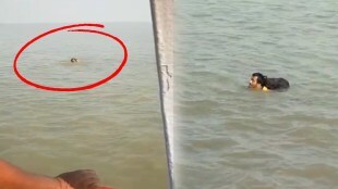 Sea Mumbai