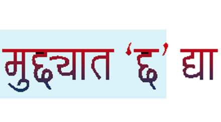 भाषासूत्र : ‘वाट’ आणि ‘वाटा’