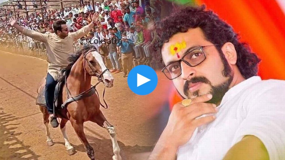 ncp mp amol kolhe, amol kohle, bullock cart race,