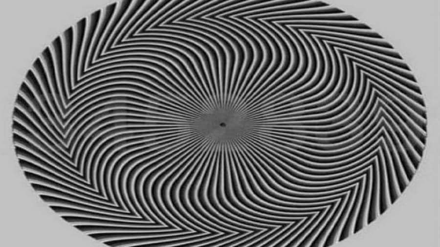 optical-illusion-viral- photo