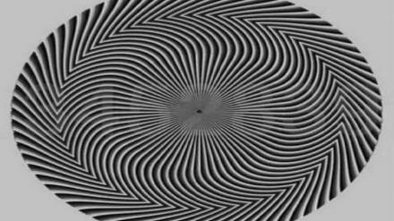 optical-illusion-viral- photo
