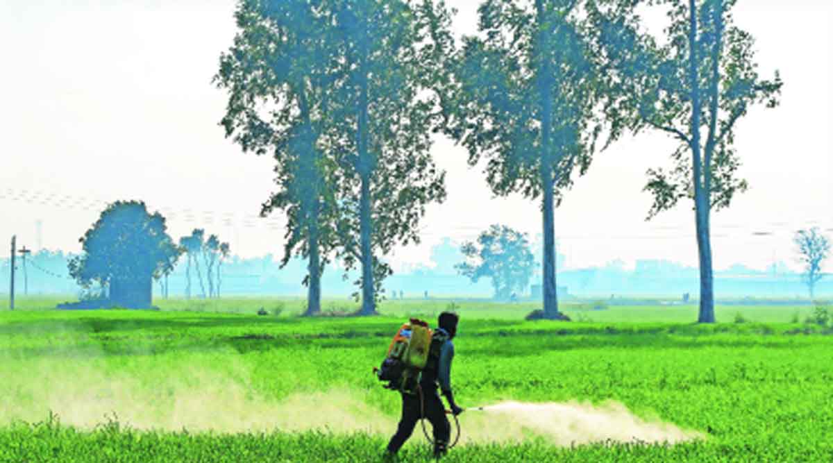 नानाजी देशमुख कृषी संजीवनी योजनेच्या अंमलबजावणीत अडचणी