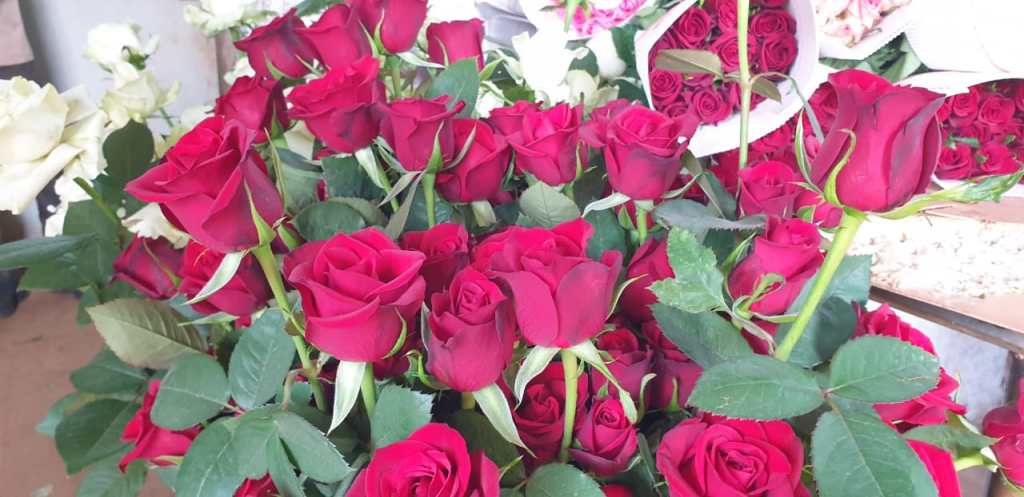 समाजमाध्यमी शुभेच्छांमुळे प्रेमदिनी गुलाबांच्या मागणीत घट