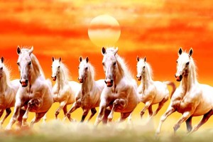 vastu shastra tips 7 horses painting