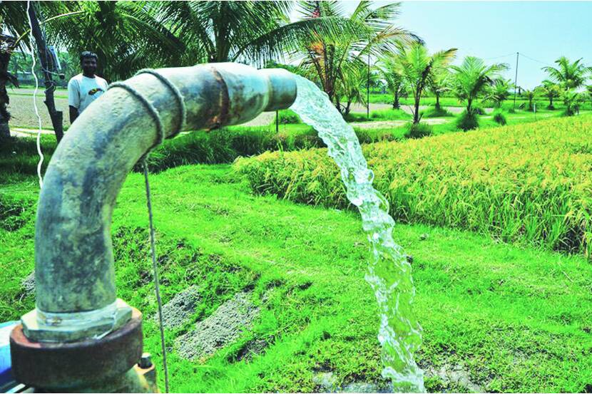 शेतीसाठी यंदा मुबलक पाणी; धरणसाठा ४४ टक्क्यांवर; विविध धरणांमधून उन्हाळी आवर्तन