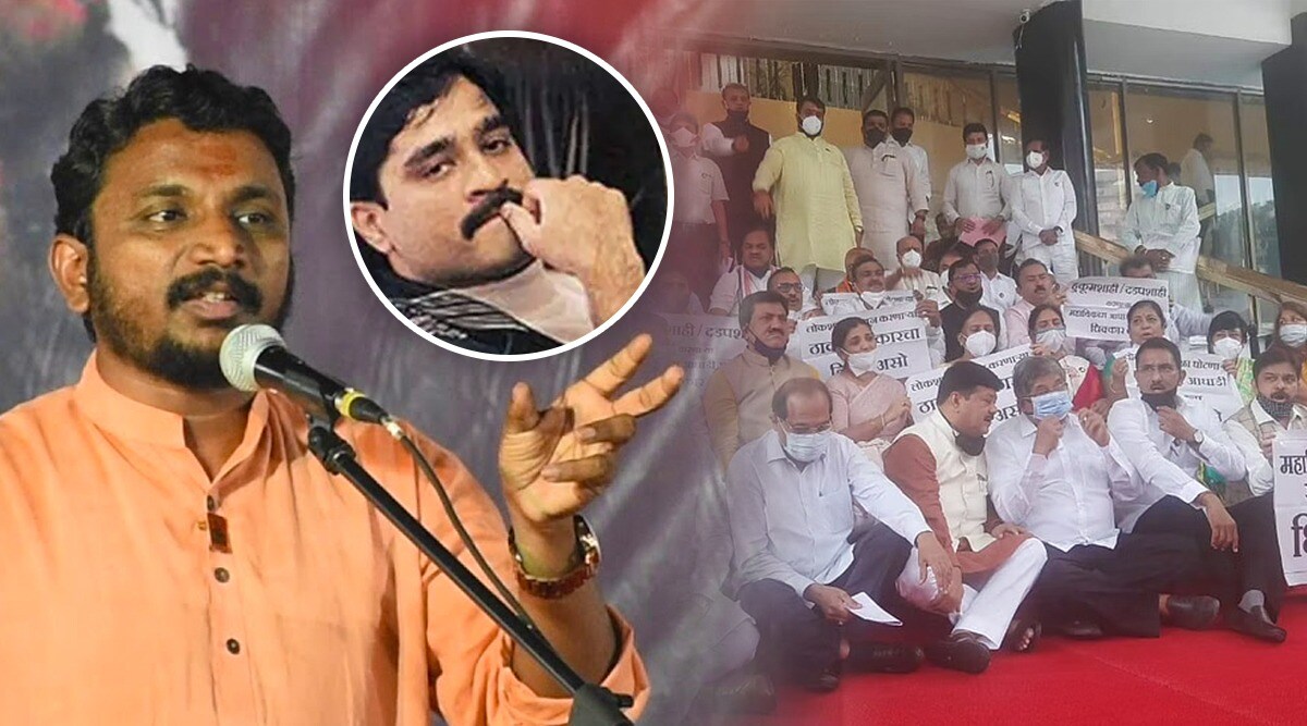 “दाऊद जो गुंडा है, उसको निहारे तू,” ‘श्रीवल्ली ‘गाण्याच्या चालीवर अमोल मिटकरींची भाजपावर टीका