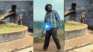 Gorilla srivalli dance