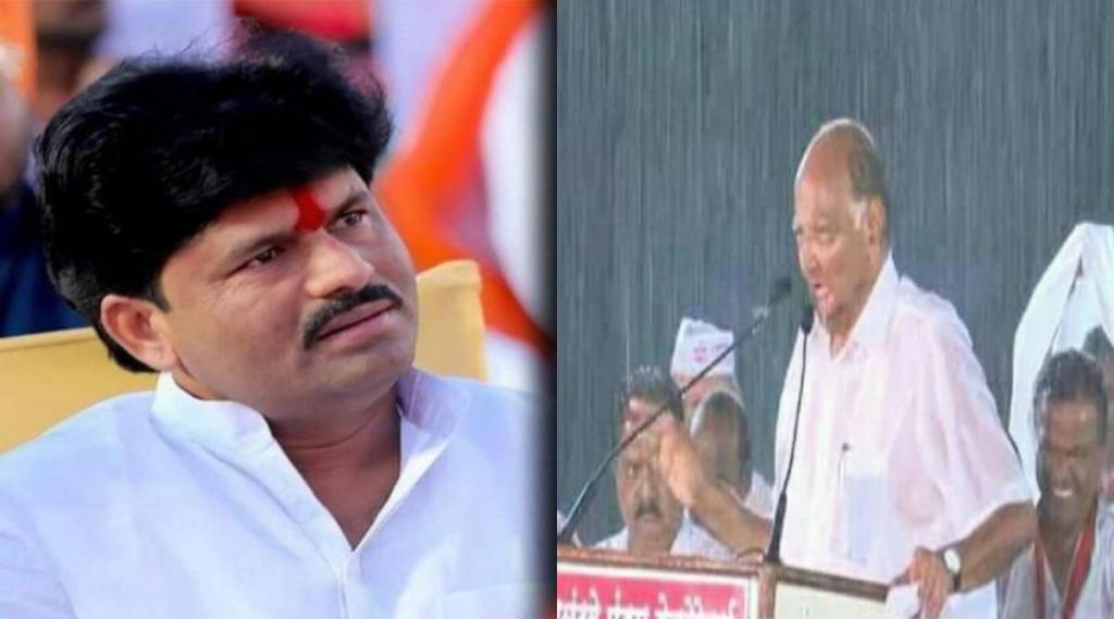 NCP criticizes Gopichand Padalkar on sharad pawar