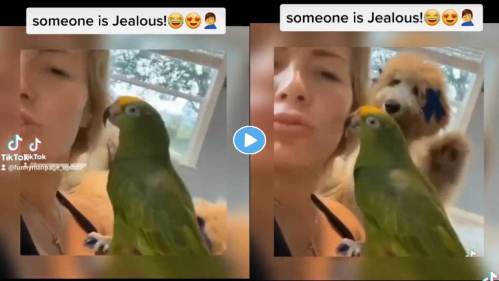 Dog-Parrot-Viral-Video