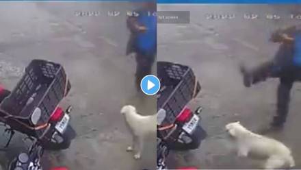 Instant-Karma
