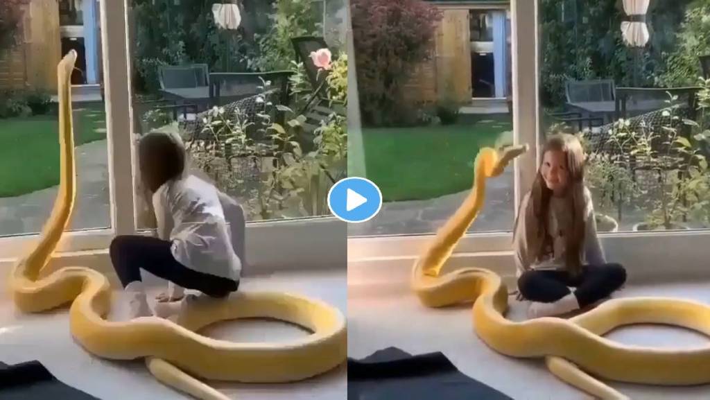 girl-playing-giant-python