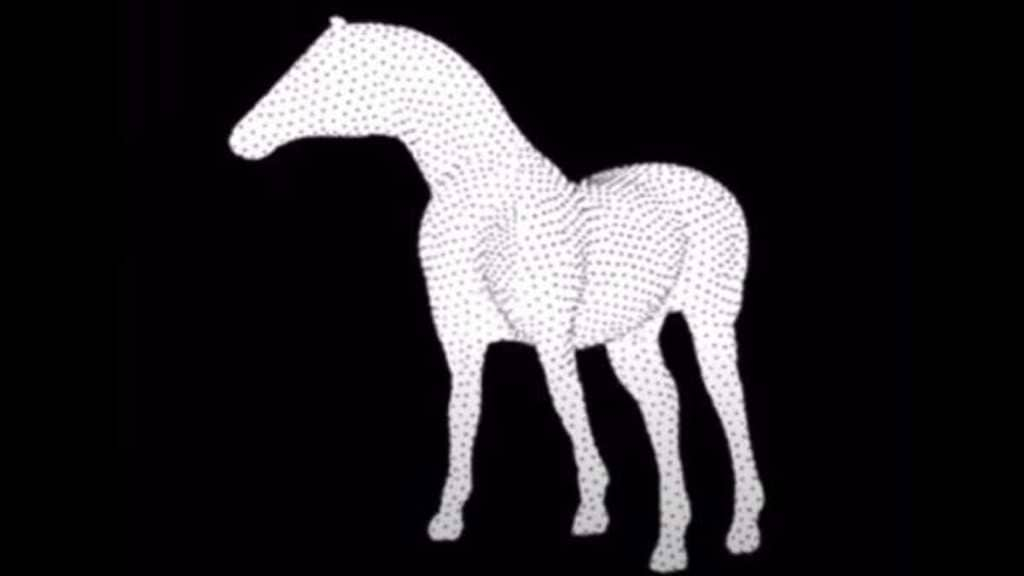 Optical Illusion horse photo