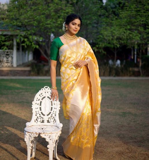 Pooja Sawant Saree Look