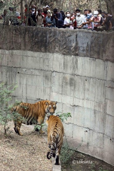 Rajiv Gandhi Zoological Park Pune Photos