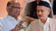 Sharad Pawar criticism on Governor Bhagat Singh Koshyari
