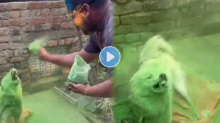 Viral_Dog_colour