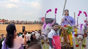 bullock cart race supriya sule