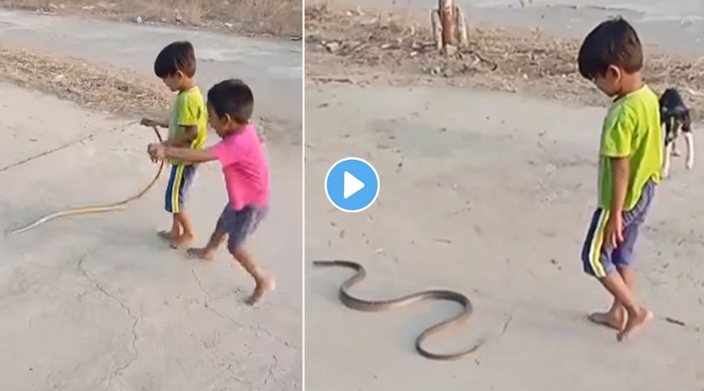 child and snake