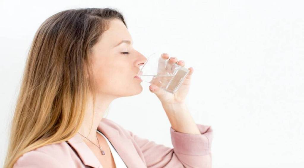 Cold Water: उन्हाळ्यात बर्फाचं पाणी पिणं योग्य की अयोग्य?, जाणून घ्या काय सांगतात तज्ज्ञ