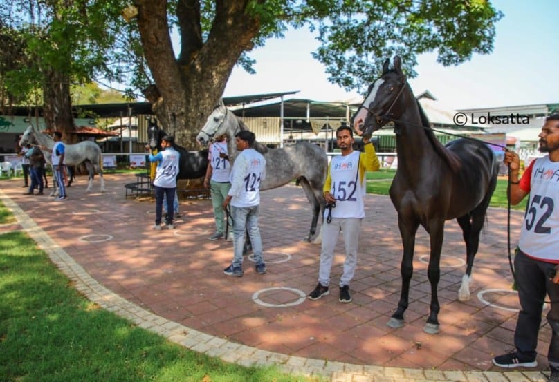 Marwadi Horse Show organised by Indigenous Horse Owners Association At Race course Pune