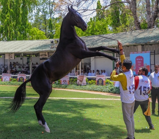 Marwadi Horse Show organised by Indigenous Horse Owners Association At Race course Pune