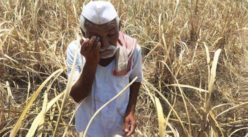 करोना काळात सर्वच सेवा ठप्प झाल्याने कडक लॉकडाऊन लागले. मात्र याचा सर्वाधिक फटका आपलया शेतकरी बांधवांना लागला. कारण शेतात पिकवलेल्या उत्पादनाचं काय करायचं हा मोठा प्रश्न त्यांचासमोर उभा राहिला होता.