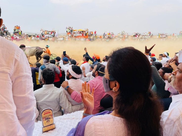 बैलगाडा शर्यतीचा आनंद घेताना खासदार सुप्रिया सुळे.