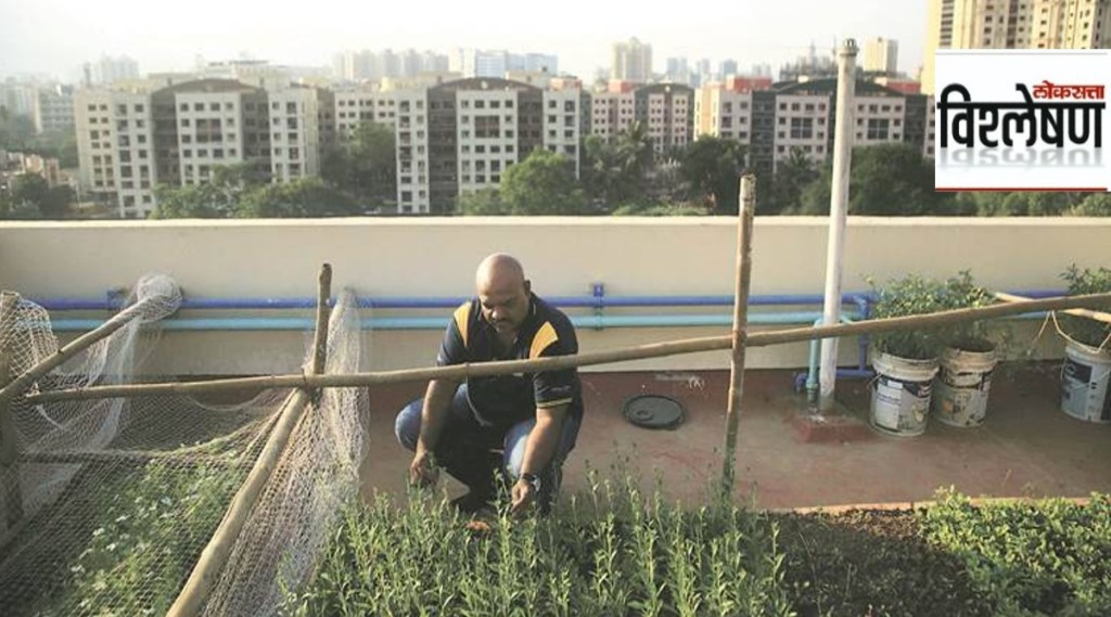 terrace garden