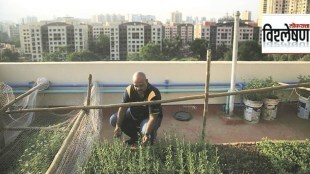 terrace garden