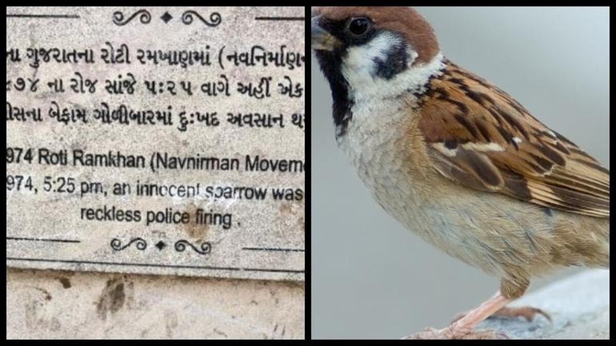 world sparrow day