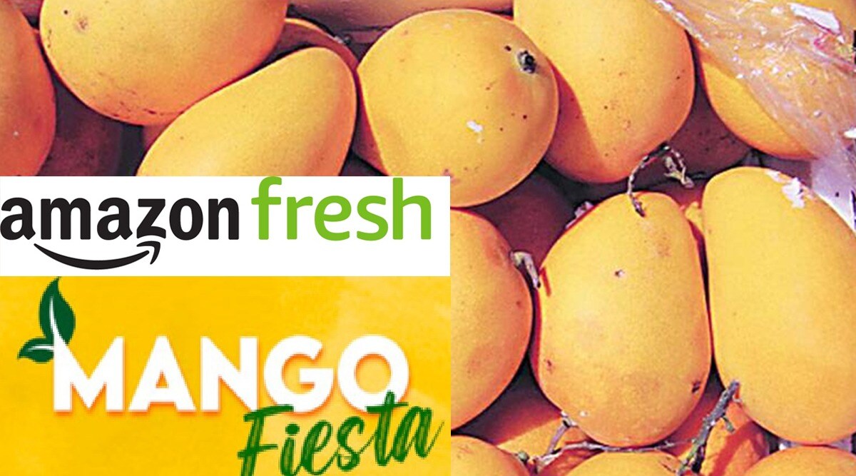 Fiesta mango sales