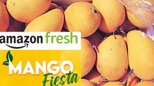 Amazon Fresh Mango Fiesta