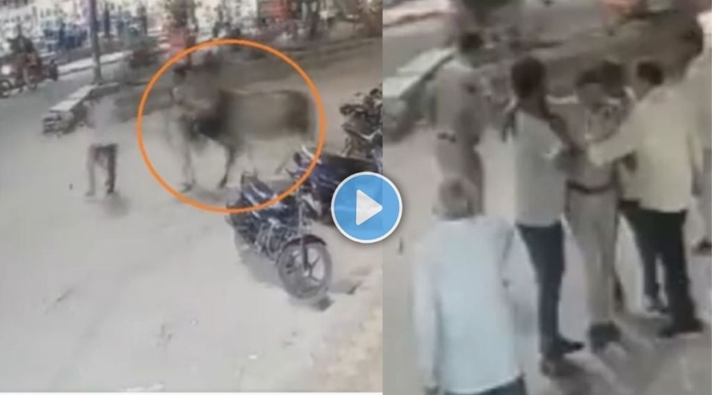 Delhi Cop Attacked By Bull