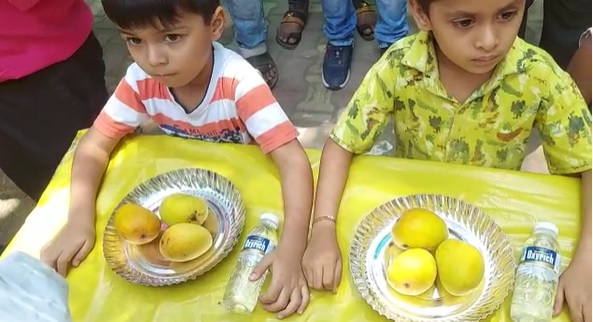या स्पर्धेत सहभागी झालेल्या मुलांना सुरुवातीस प्रत्येकी तीन आंबे खाण्यास दिले होते.