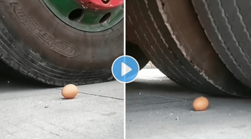 Egg_Truck