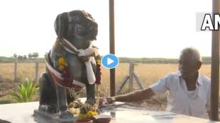Dog-Temple-viral-video